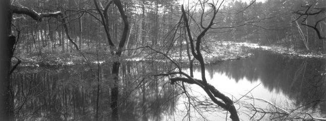 2001&ndash;2003 &middot; Walden Pond Revisited